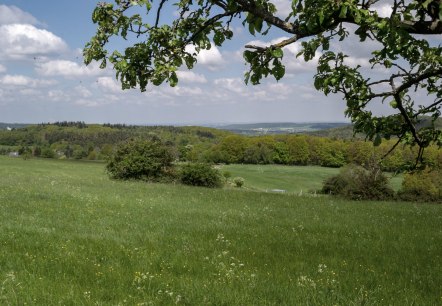 Eifelspur-Kneippwanderweg - Naturschutzgebiet Bad Münstereifeler Wald, © Nordeifel Tourismus GmbH