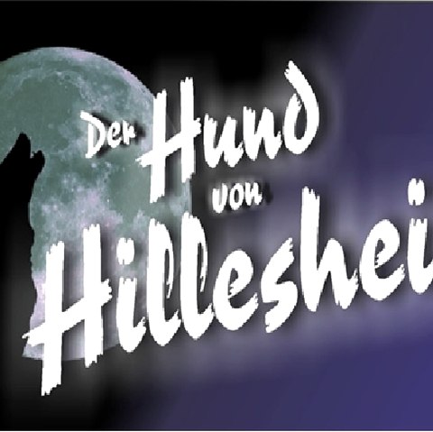 Der Hund von Hillesheim, © KBV Verlag