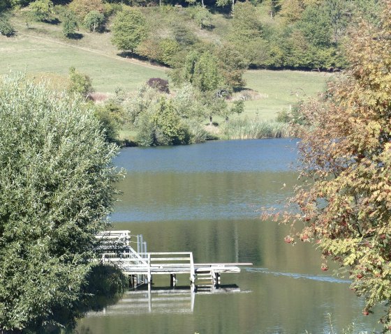 Naturfreibad Maar Steg, © GesundLand Vulkaneifel GmbH