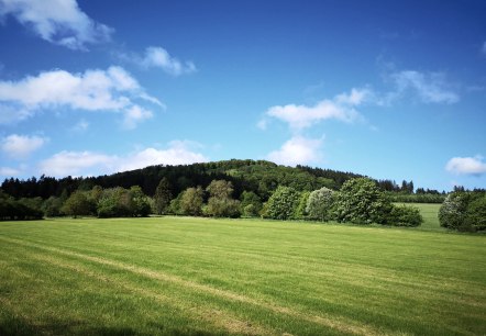 Blick auf Ernstberg - HeimatSpur Ernstberg- Panoramaweg, © Gesundland Vulkaneifel GmbH