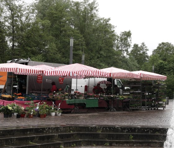 Wochenmarkt Wittlich - Piets Obst- und Gemüsestand, © Kulturamt Stadt Wittlich