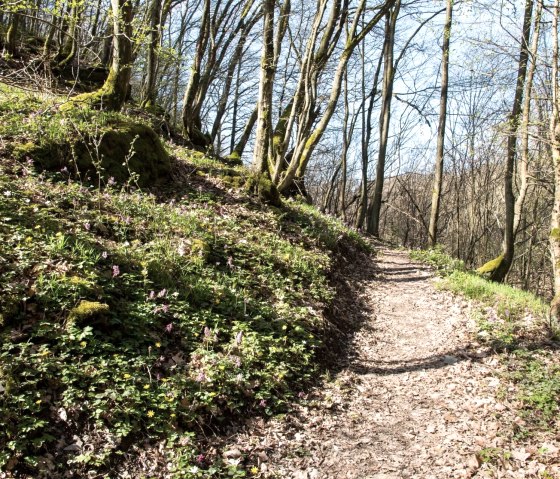 Erlebnisweg Achterhöhe, © Eifelsüchtig/Ursula Peters