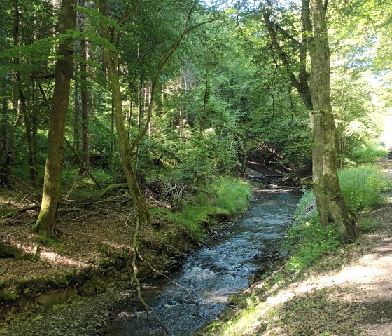 Wandern im Armunsbachtal