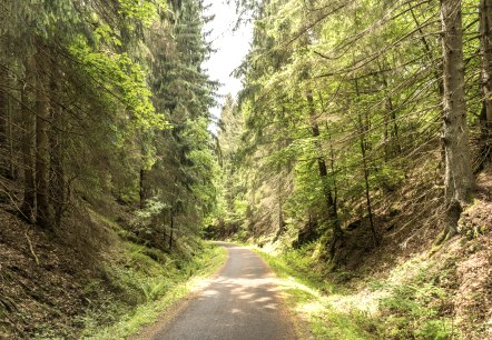 Radweg in der Eifel, © Eifel Tourismus GmbH, Dominik Ketz