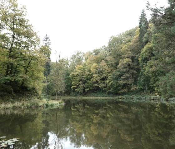 Burgweiher im Herbst, © GesundLand Vulkaneifel GmbH