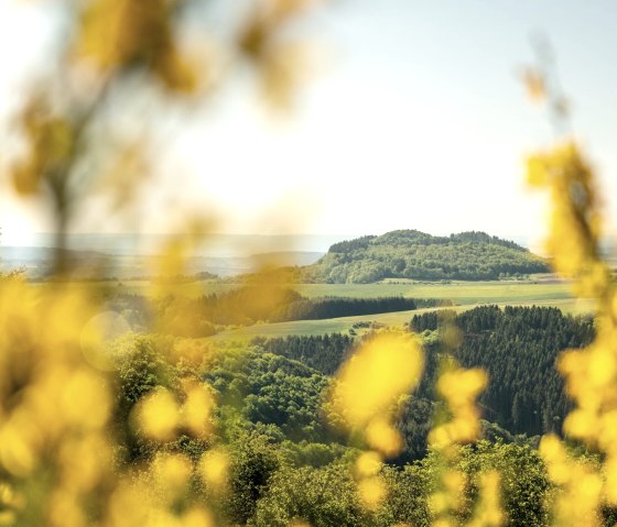 Mosenberg, © GesundLand Vulkaneifel/Dominik Ketz