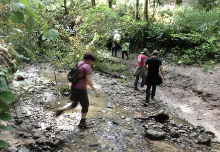 ruisseau à Sirzenich, © Deutsch Luxemburgische Tourist Info