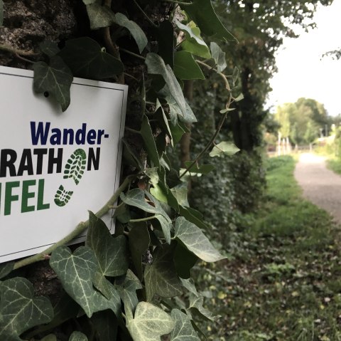 Aussschilderung Wandermarathon Eifel, © Tourist-Information Wittlich Stadt & Land