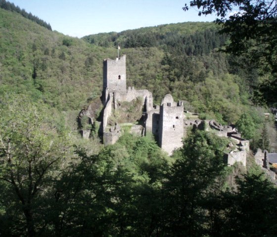 Burg Manderscheid