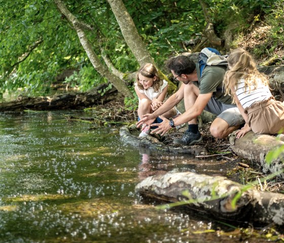 Gasbläschen (Mofetten) im Laacher See, © Eifel Tourismus GmbH, Dominik Ketz