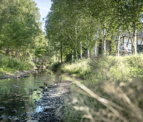 Die Urft begleitet den Löwenzahn-Erlebnispfad teilweise., © Eifel Tourismus GmbH, Dennis Stratmann