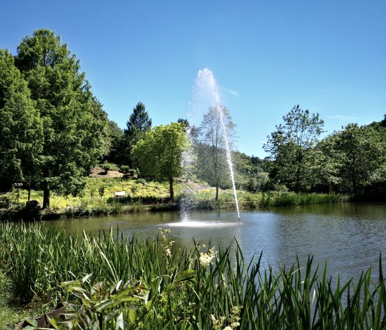 Wasserfontäne im Dauner Kurpark, © GesundLand Vulkaneifel