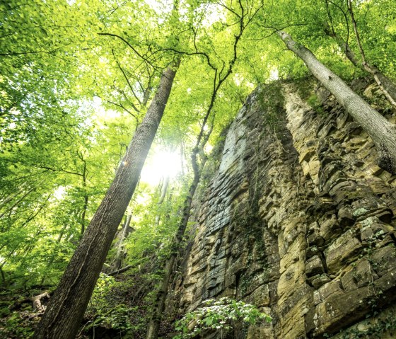 Beeindruckende Felswand in der Wolfsschlucht am Felsenweg 3, © Eifel Tourismus GmbH, D. Ketz