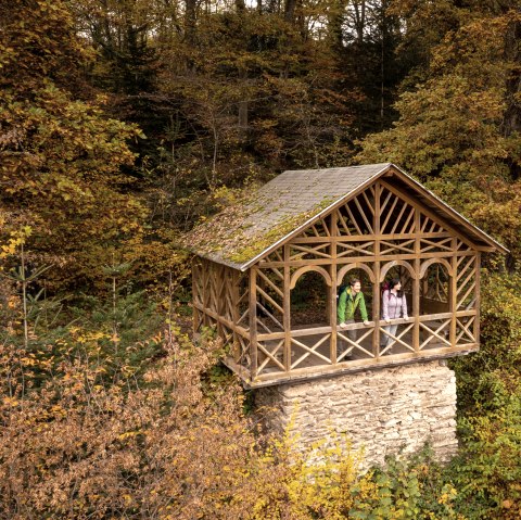 Blick aus der Balduinshütte über dem Liesertal, Eifelsteig-Etappe 12, © Eifel Tourismus GmbH, D. Ketz