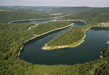 Blick auf den Urftsee im Nationalpark Eifel, © Eifel Tourismus GmbH, D. Ketz