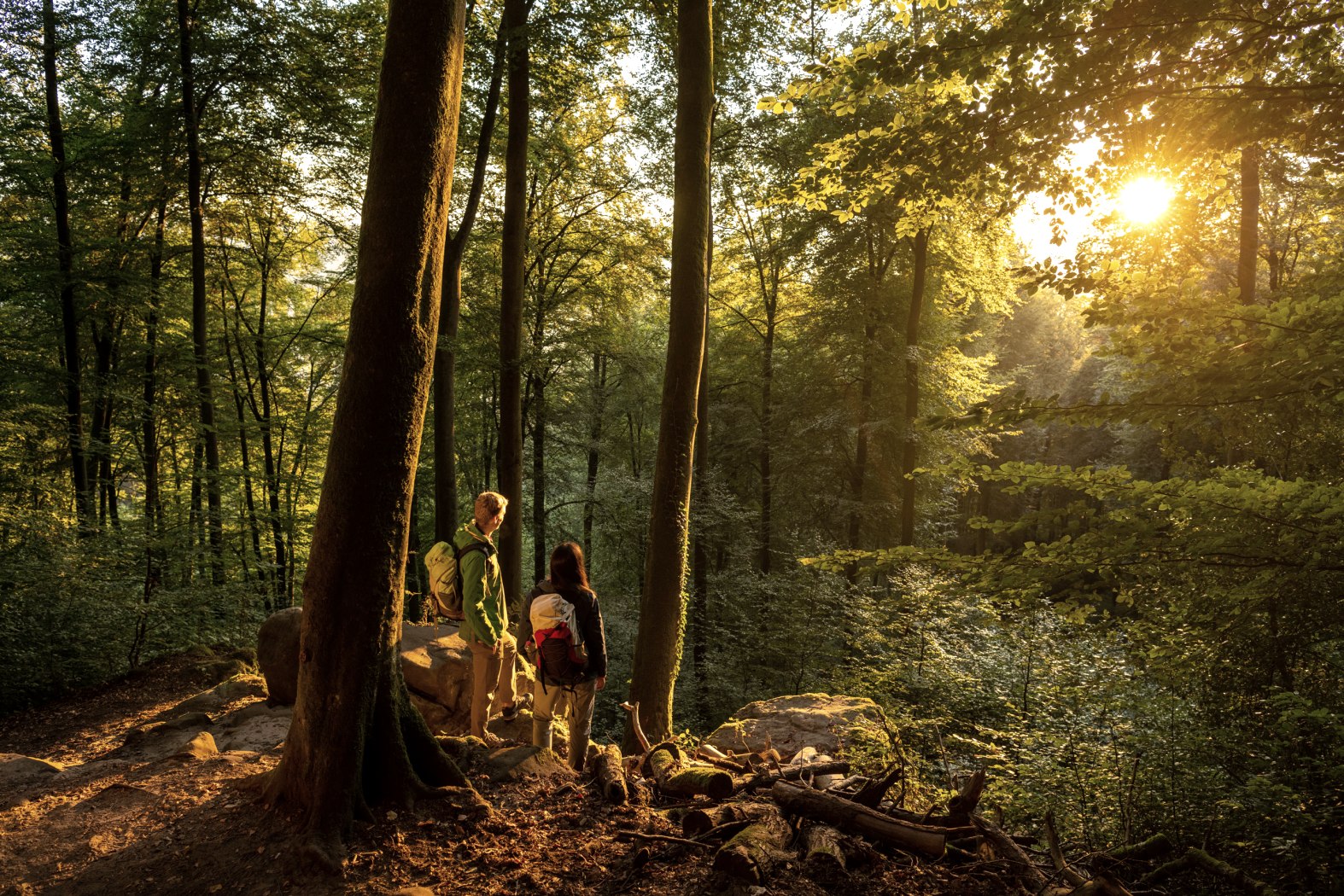 Die Teufelsschlucht im Herbst, © Eifel Tourismus GmbH, Dominik Ketz