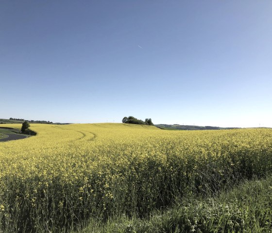 Naturlandschaft Uppershausen