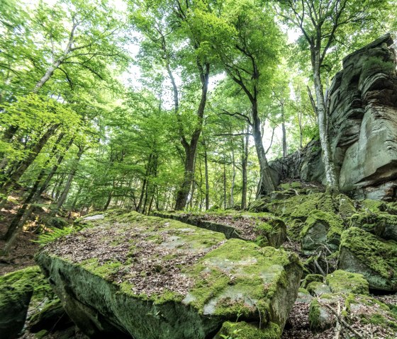 Felsformation Predigtstuhl im NaturWanderPark delux, © Eifel Toursimus GmbH, D. Ketz