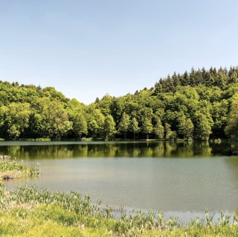 Blick auf das Holzmaar, © GesundLand Vulkaneifel/D. Ketz