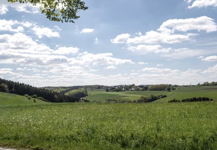 Eifelspur Münstereifelsteig - Naturschutzgebiet Erftaue, © Nordeifel Tourismus GmbH