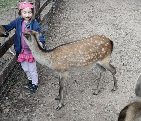 Hochwildpark Kommern2, © Lena Poth