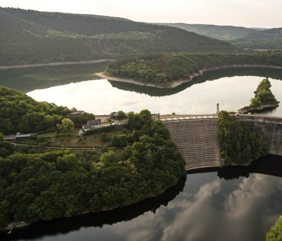 Blick auf die Urfttalsperre im Nationalpark Eifel, © Eifel Tourismus GmbH - Dominik Ketz