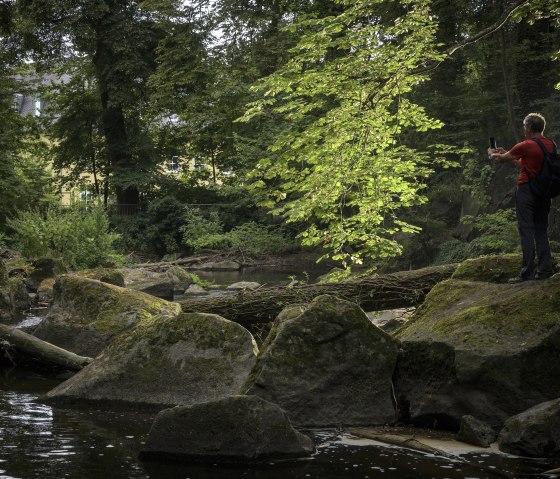 Wandern durch den Rauscherpark, © Kappest/VG Pellenz