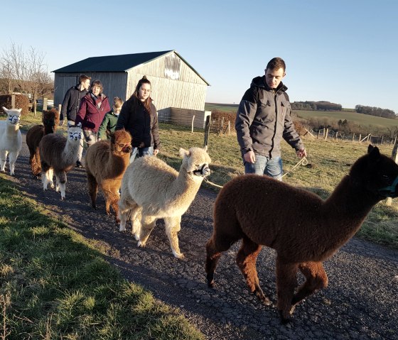 Auf Wanderung mit Alpakas, © Familie Kelleners