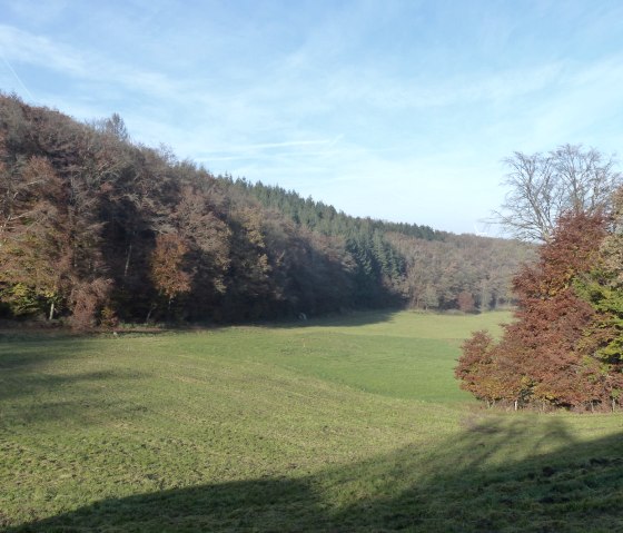 Wanderweg Nr. 87 bei Manderscheid, © Tourist-Information Islek