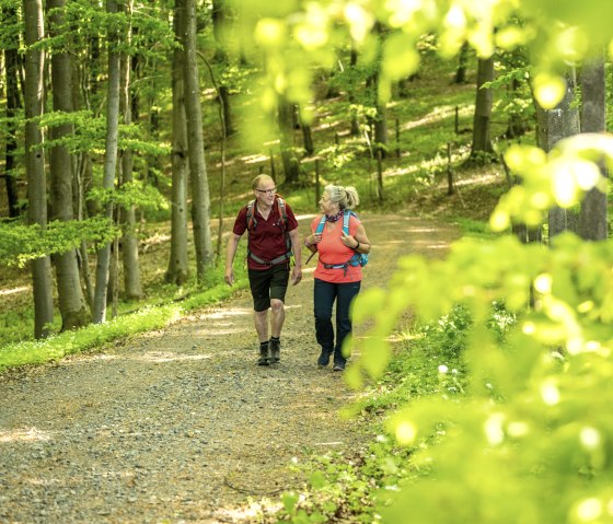 Wanderer in der Hocheifel, © Eifel Tourismus ET , Dominik Ketz