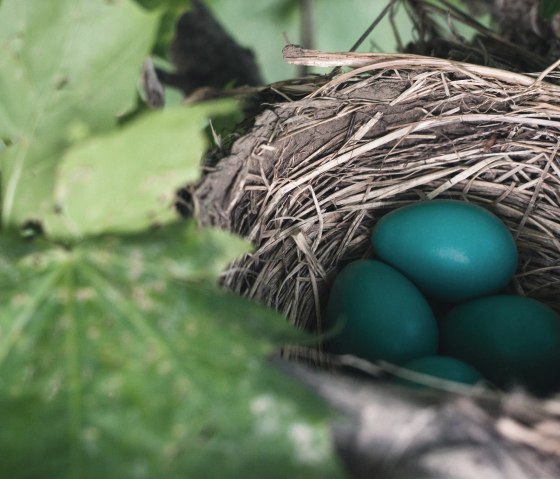 Kurzurlaub an Ostern