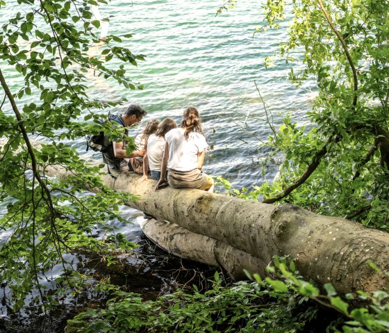 Auszeit am Ufer vom Laacher See, © Eifel Tourismus GmbH, Dominik Ketz