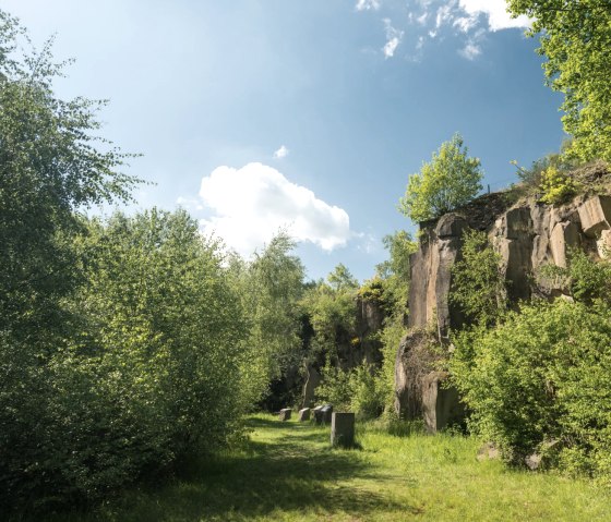 Felswand im Mayener Grubenfeld am Vulkanpark-Radweg, © Rheinland-Pfalz Tourismus GmbH, D. Ketz