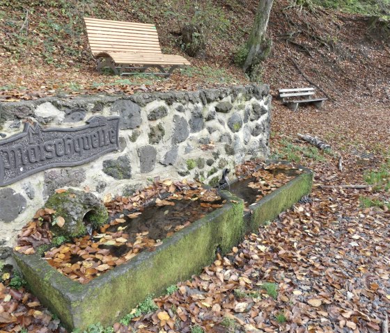 Maischquelle, © GesundLand Vulkaneifel