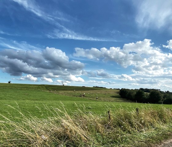 Umgebung/ Landschaft