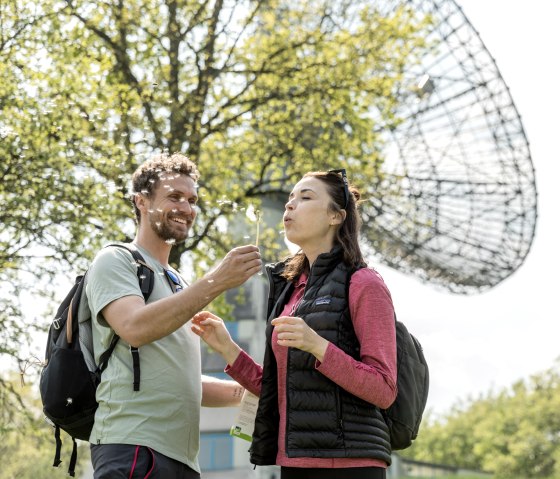 Sommer-Spaß mit Pusteblumen beim Wandern auf der EielSchleife Von Sternen und Römern, © Eifel Tourismus GmbH, AR-shapefruit AG