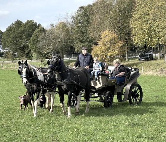 Kutschfahrten, © Heinz Schend