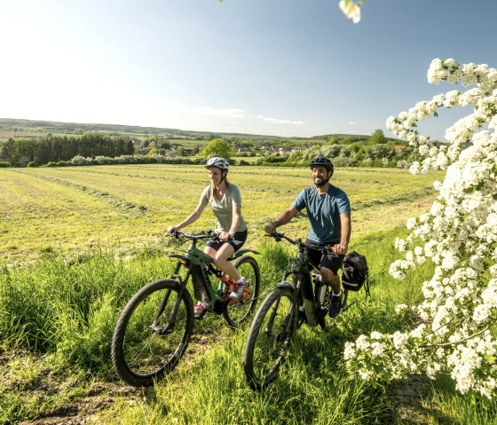 Nims Radweg, Messerich, © Eifel Tourismus GmbH, Dominik Ketz