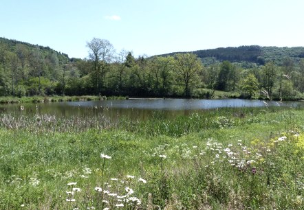 Stausee Irrhausen, © Tourist-Info Islek