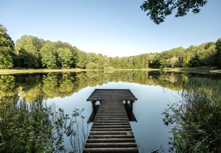 Windsborn Kratersee, © GesundLand Vulkaneifel/D. Ketz