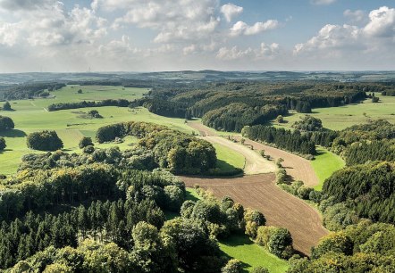 Panorama-Waldbild Prümer Land, © Tourist-Information Prüm/Naturpark Nordeife