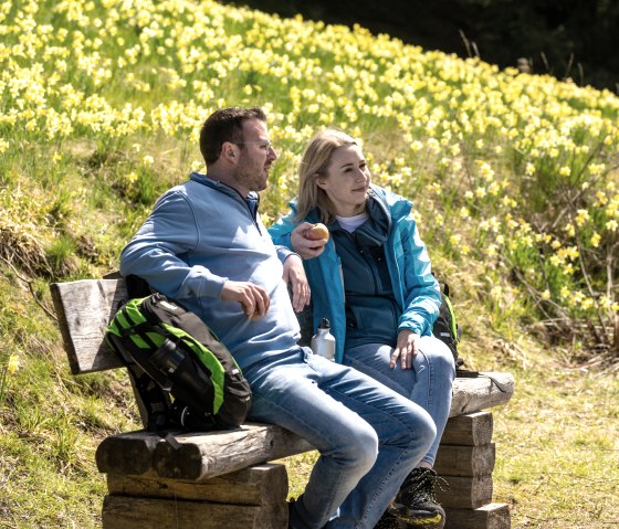 Rast inmitten blühender Narzissen, © Städteregion Aachen, Dominik Ketz