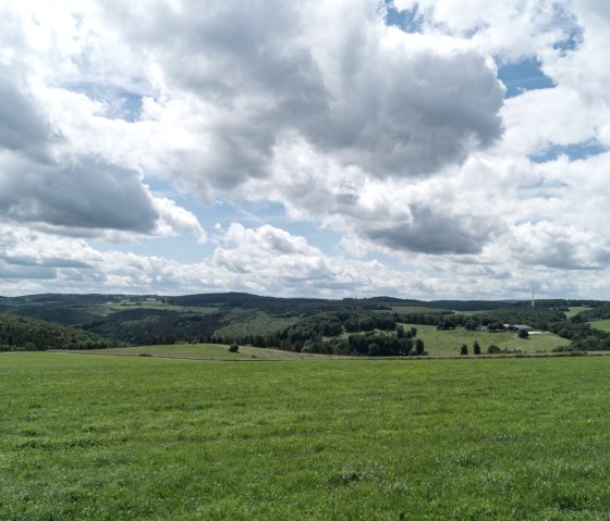 Weitblick, Eifelspur Soweit das Auge reicht, © Nordeifel Tourismus