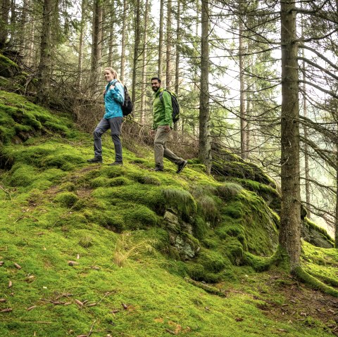 Unterwegs auf dem Wildnis-Trail, © Eifel Tourismus, Dominik Ketz