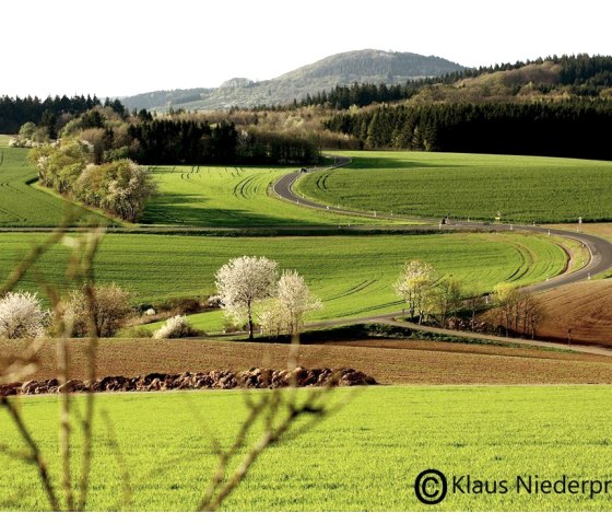 Eifellandschaft bei Schalkenmehren, © Klaus Niederprüm - klaus.niederpruem@online.de