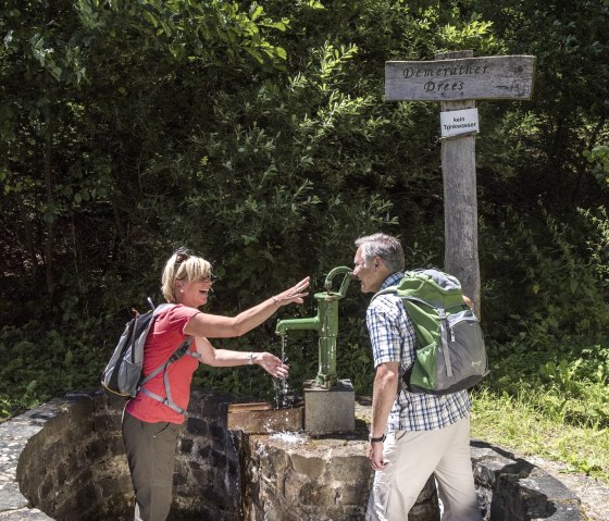 Demerather Drees, © Natur- und Geopark Vulkaneifel GmbH