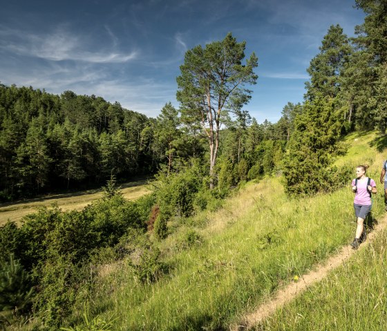 Wandern durch das Lampertstal, © Eifel Tourismus GmbH, Dominik Ketz