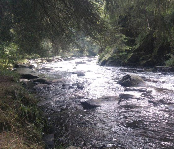 Rur bei Monschau, © Diana Küpper