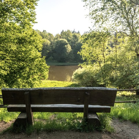 Ruhebank am Windsborn Krater, © GesundLand Vulkaneifel GmbH