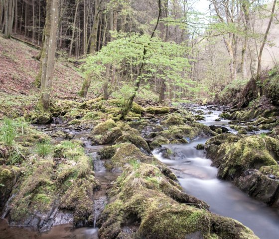 Natur- viele Bäche